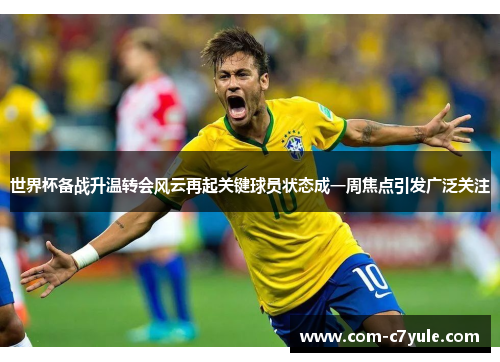 世界杯备战升温转会风云再起关键球员状态成一周焦点引发广泛关注