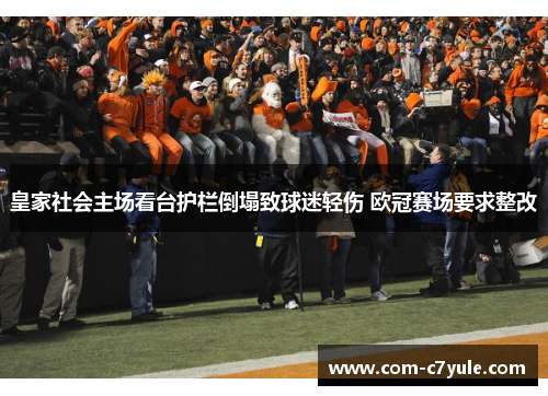皇家社会主场看台护栏倒塌致球迷轻伤 欧冠赛场要求整改 皇家社会主场看台护栏倒塌致球迷轻伤 欧冠赛场要求整改